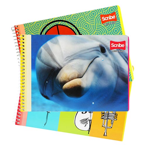 CUADERNO SCRIBE F. ITALIANA 4533 MEGA C/100H