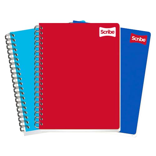 CUADERNO SCRIBE PROFESIONAL 2902 PLAST. C/100H C.5MM