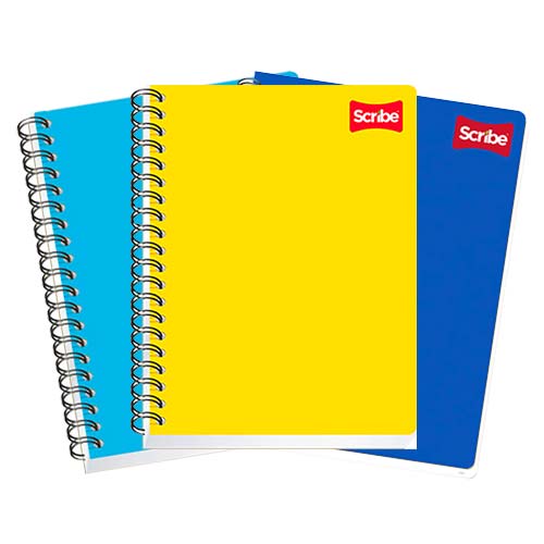 CUADERNO PROFESIONAL SCRIBE 2901 CLASICO C/100H BCO