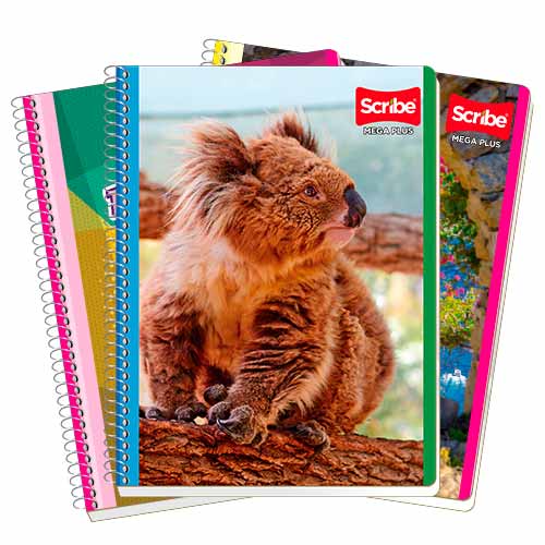 CUADERNO PROFESIONAL SCRIBE 7511 100 HJS DB