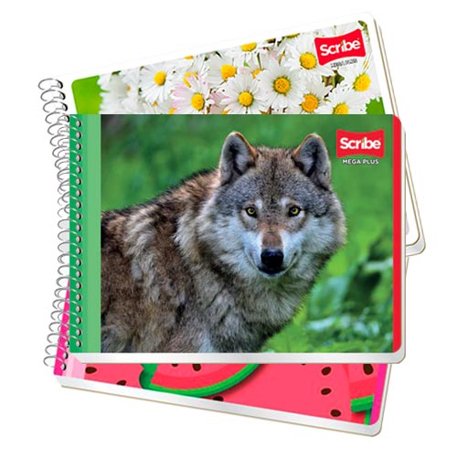 CUADERNO SCRIBE F. ITALIANA 4530 MEGA C/100H5 RY