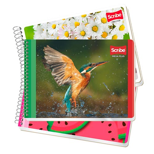 CUADERNO SCRIBE F. ITALIANA 4534 MEGA C/100H