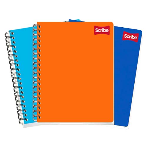 CUADERNO SCRIBE PROFESIONAL 2900 PLAST. C/100HJS