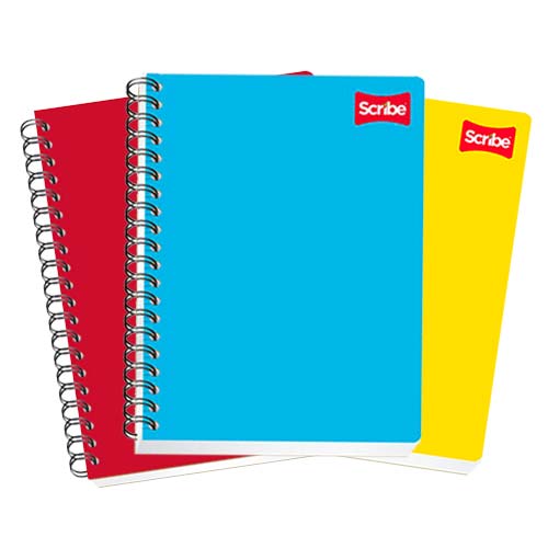 CUADERNO SCRIBE PROFESIONAL 2903 PLAST. C/100H