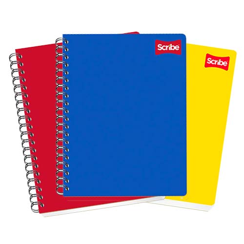 CUADERNO SCRIBE PROFESIONAL 2904 PLAST. C/100H