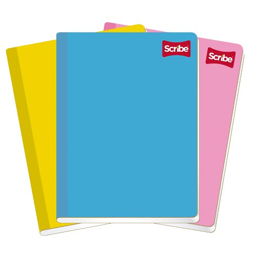 CUADERNO SCRIBE PROFESIONAL COSIDO 4504 PLAST. C/100H  DR