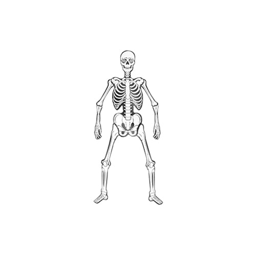 T. MUERTOS ADORNO PADI MINI HUESUDA PZ