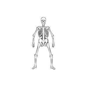 T. MUERTOS ADORNO PADI MINI HUESUDA PZ